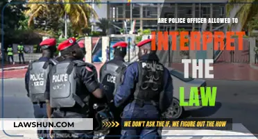 Can Police Interpret Laws? Understanding Officer Discretion and Legal Boundaries