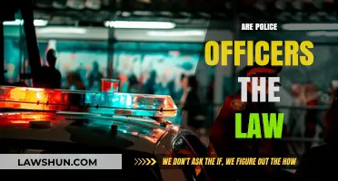 Are Police Officers Above the Law? Exploring Authority and Accountability