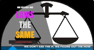Understanding Governance: The Crucial Differences Between Policies and Laws