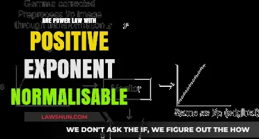 Are Positive Exponent Power Laws Normalizable? A Comprehensive Analysis