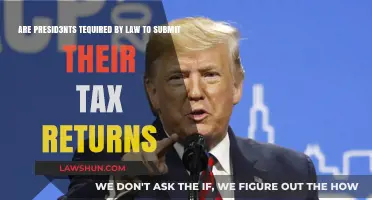 Who Must Show Tax Returns: Presidents or Public?