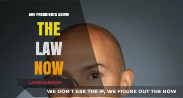 Are Presidents Above the Law? Examining Executive Power and Accountability