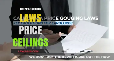 Are Price Gouging Laws Essentially Price Ceilings? Exploring the Connection