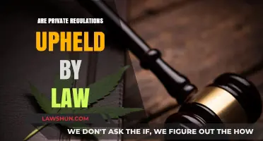 Are Private Regulations Legally Binding? Exploring Enforcement and Compliance