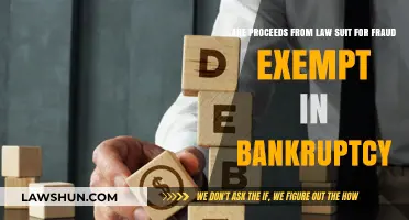 Are Fraud Lawsuit Proceeds Exempt in Bankruptcy? Key Legal Insights