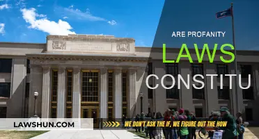 Profanity Laws: Free Speech or Unconstitutional?