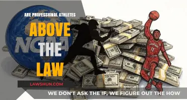 Are Professional Athletes Above the Law? Examining Privilege and Accountability