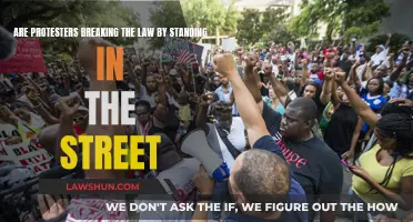 Protesters' Rights: Street Standing and the Law