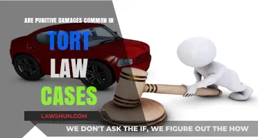 Tort Law: Punitive Damages, How Common?