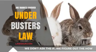 Are Rabbits Protected Under Buster's Law? Understanding Legal Coverage