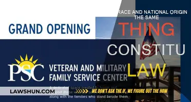 Race and National Origin: Constitutional Law's Complexities