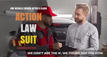 Do Class Action Lawsuits Trigger Product Recalls? Exploring the Connection