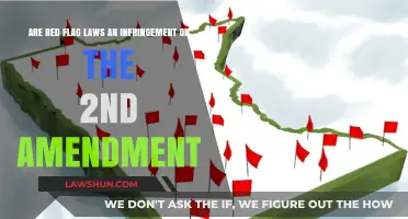 Red Flag Laws vs. 2nd Amendment: Balancing Safety and Rights