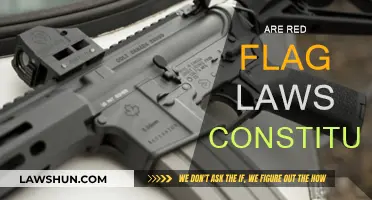 Red Flag Laws: Constitutional or Not?