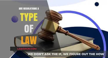 Are Regulations Laws? Understanding the Legal Framework and Differences