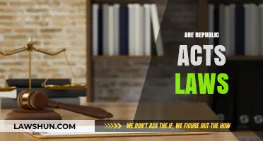Are Republic Acts Laws? Understanding the Legal Framework in the Philippines