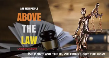 Wealth and Justice: Are the Rich Truly Above the Law?