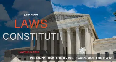 RICO Laws: Constitutional or Not?