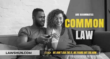 Roommates and Common Law: What's the Deal?
