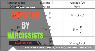 The Narcissist's Rules: Power and Control