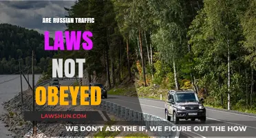 Russian Traffic Laws: Ignored or Misunderstood? A Closer Look