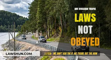 Russian Traffic Laws: Ignored or Misunderstood? A Closer Look