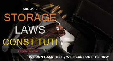 Storage Laws: Constitutional or Unconstitutional?