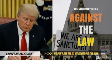 Understanding Sanctuary Cities: Legalities and Controversies Explained