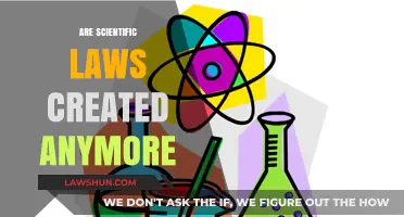 The Evolution of Scientific Laws: Are They Still Created?