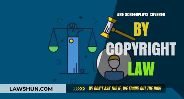 Are Screenplays Protected? Understanding Copyright Law for Scriptwriters