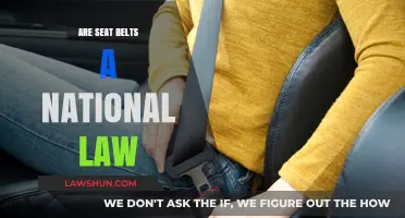 Are Seat Belts Required by Law Nationwide? Exploring the Legal Mandate