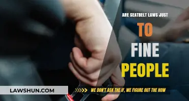 Are Seatbelt Laws Revenue-Driven or Safety-Focused? Unbuckling the Truth