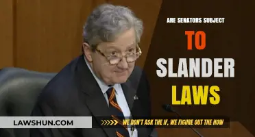 Are Senators Protected by Slander Laws? Legal Insights and Implications
