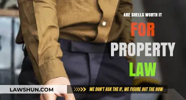 Are Shell Companies a Wise Investment in Property Law?