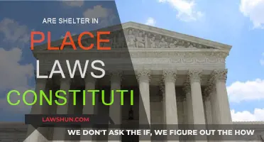Shelter-in-Place Laws: Constitutional or Government Overreach?