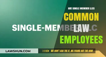 LLC Member Status: Common Law Employee or Not?