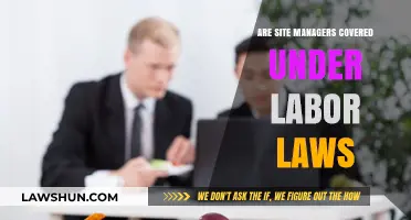 Site Managers and Labor Laws: Understanding Legal Protections and Rights