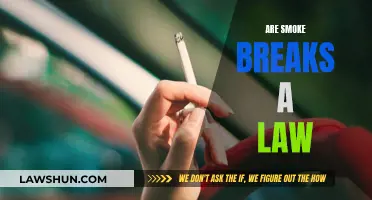 Smoke Breaks: A Legal Right or a Health Hazard?