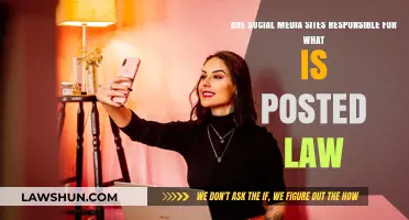 Social Media Liability: Are Platforms Legally Responsible for User Posts?