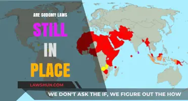 Are Sodomy Laws Still Enforced Globally? A Comprehensive Overview