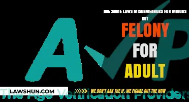 Age Matters: Misdemeanors for Minors, Felonies for Adults – Why?