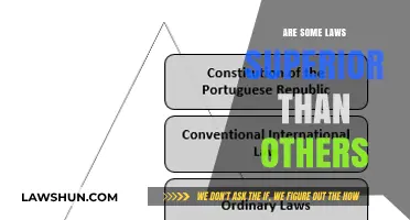 Are Some Laws Superior? Exploring Legal Hierarchy and Justice
