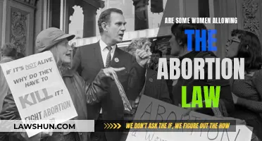 Women's Choice: Abortion Law and Women's Support