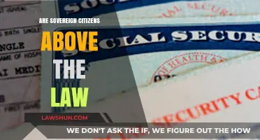 Sovereign Citizens: Above the Law or Misguided Beliefs?