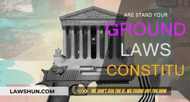 Stand Your Ground: Constitutional or Controversial?