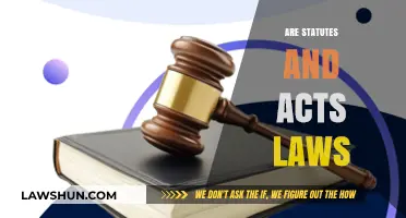 Are Statutes and Acts Laws? Understanding Legal Terminology and Differences