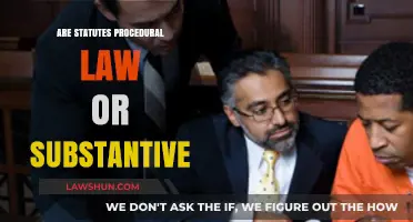 Understanding Statutes: Procedural Law or Substantive Law?