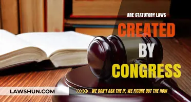 How Congress Creates Statutory Laws