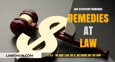 Are Statutory Remedies Considered Legal Remedies? Exploring the Legal Framework