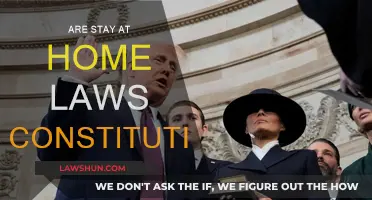 Stay-at-Home Orders: Constitutional or Overreach?